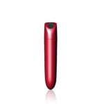 Mini Bullet