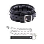 Leash and Collar - Image 3