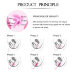 Kegel Ball Eggs - Image 3