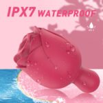 Immortal Whisperer - Image 4